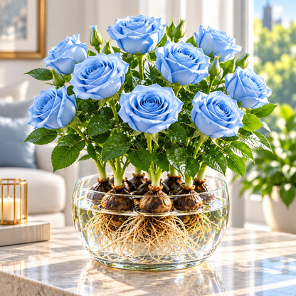 ✨Hydroponic Rose Bulbs -Enchanting Fragrant🌹Can be grown in water or soil