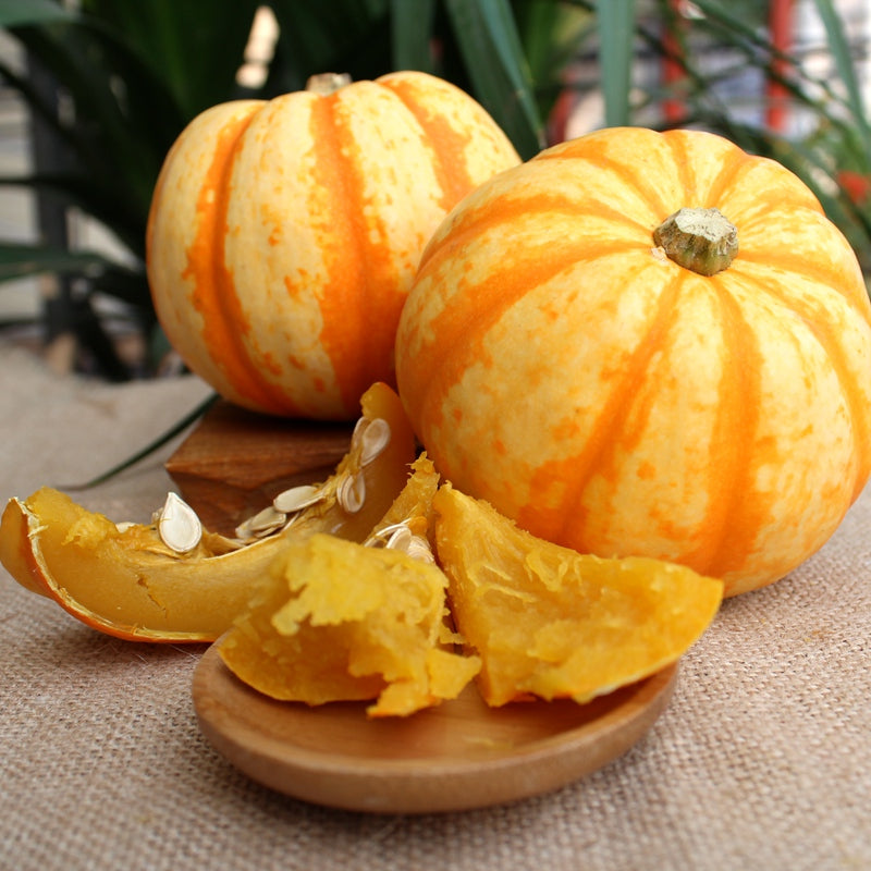 Yellow Beibei Pumpkin Sweet Glutinous BeiBei Mini Chestnut Pumpkin Seeds