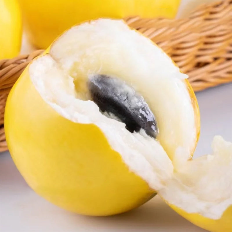 Golden Fruit Seeds