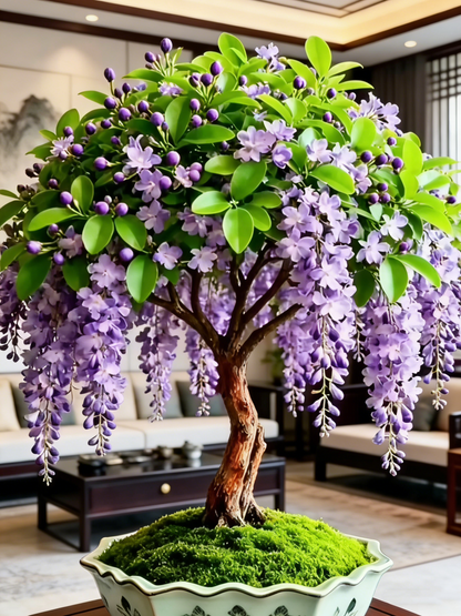 Last Day Up to 50% OFF💐Rare Weeping Jasmine Flowers Bulbs