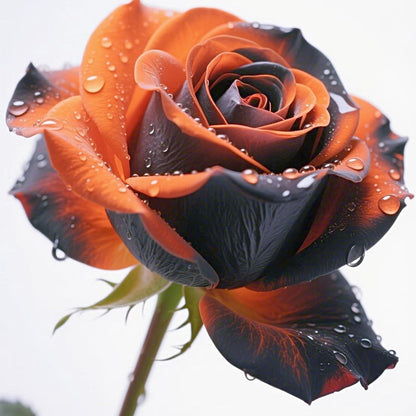 💥Premium Twin Roses Seeds-Save Today!🌹