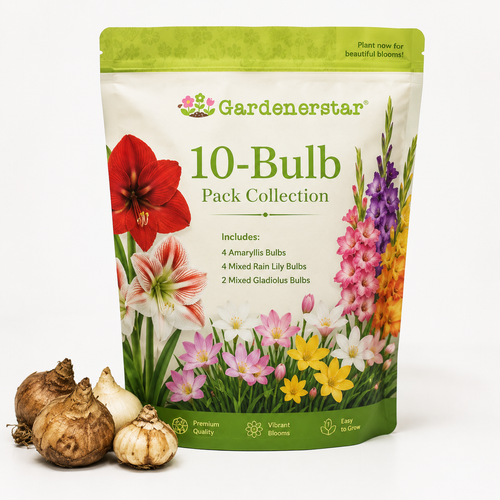 🔥Buy 3 Get 1 Free 10-Bulb Pack Collection