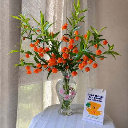 Lantern Lily Bulbs