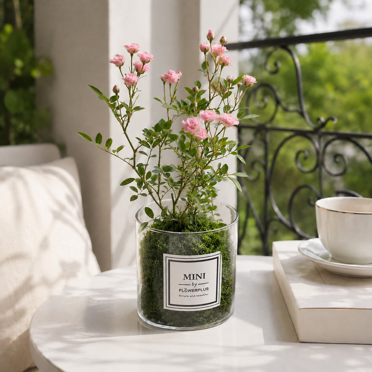 🌹Ultra-Mini Rose Hydroponic Moss Ball-Live Mini Rose Plant
