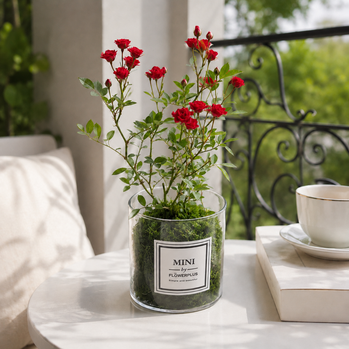 🌹Ultra-Mini Rose Hydroponic Moss Ball-Live Mini Rose Plant