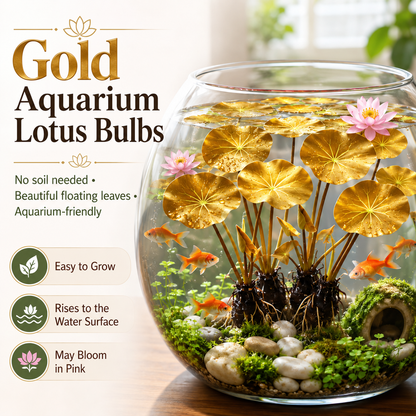 🐟Hydroponic red lotus roots🌿 Turn Your Aquarium into a Living Garden