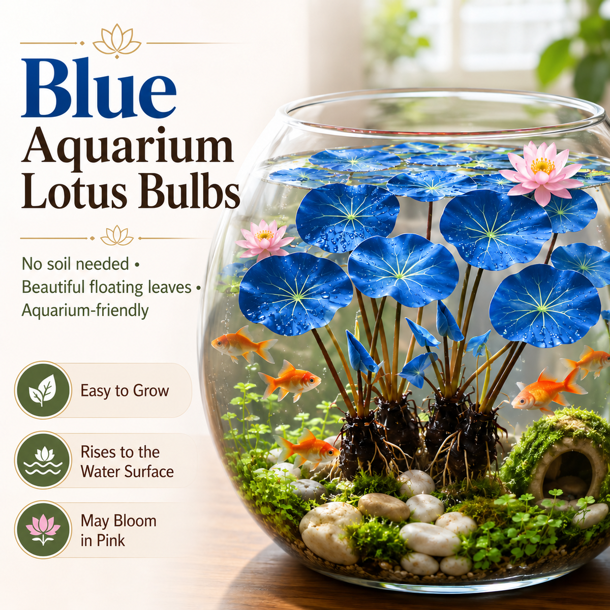 🐟Hydroponic red lotus roots🌿 Turn Your Aquarium into a Living Garden