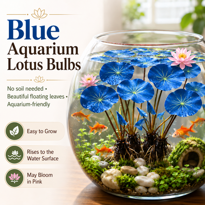🐟Hydroponic red lotus roots🌿 Turn Your Aquarium into a Living Garden