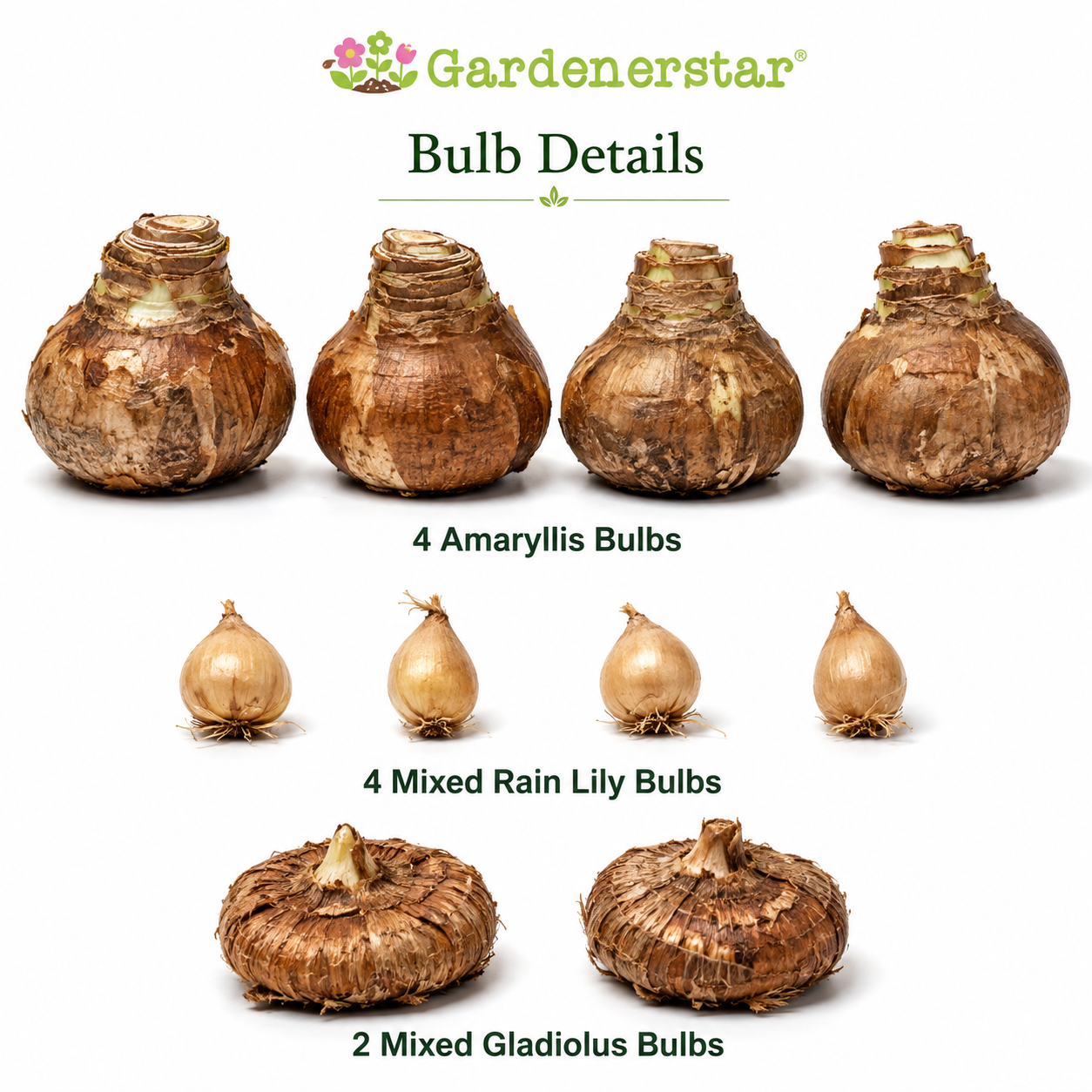 🔥Buy 3 Get 1 Free 10-Bulb Pack Collection