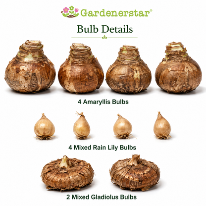 🔥Buy 3 Get 1 Free 10-Bulb Pack Collection