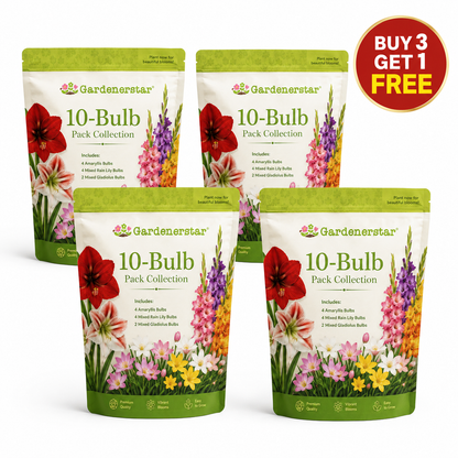 🔥Buy 3 Get 1 Free 10-Bulb Pack Collection