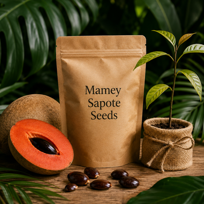 🥭 Premium Mamey Sapote Seeds