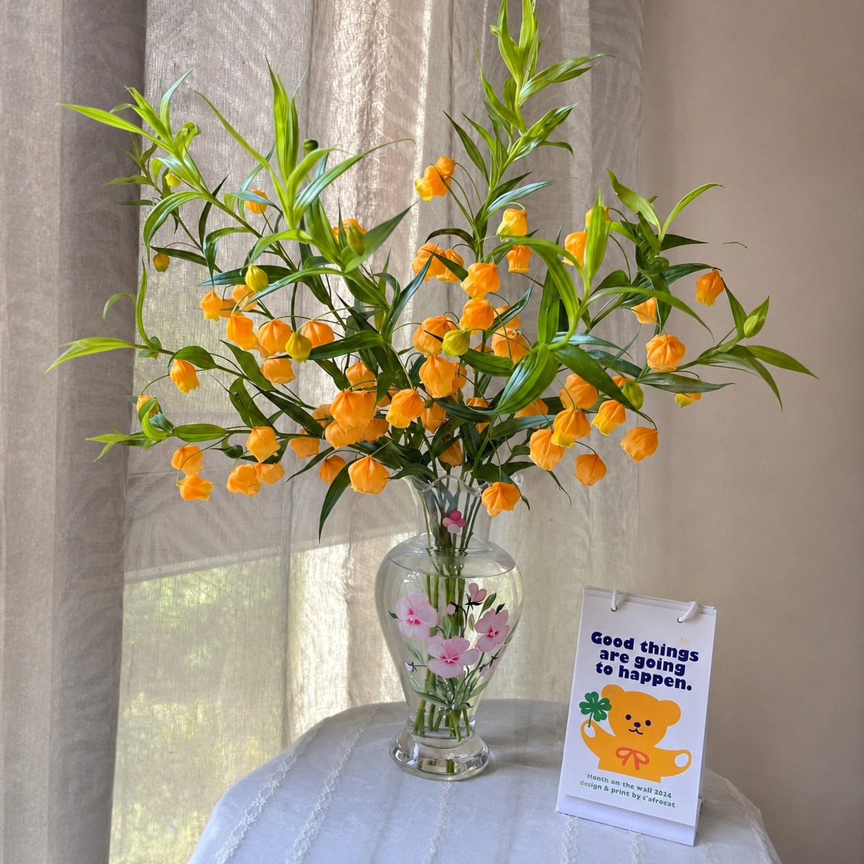 Lantern Lily Bulbs