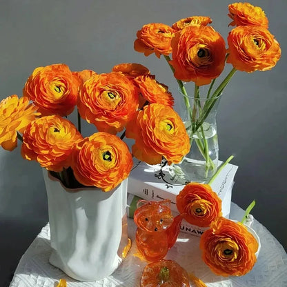 Multicolor Ranunculus Bulbs