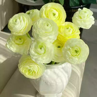 Yellow-Green