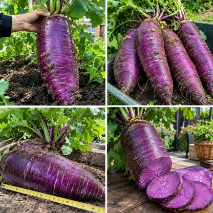 🥕 Giant Carrot — Winter Vegetable Savior