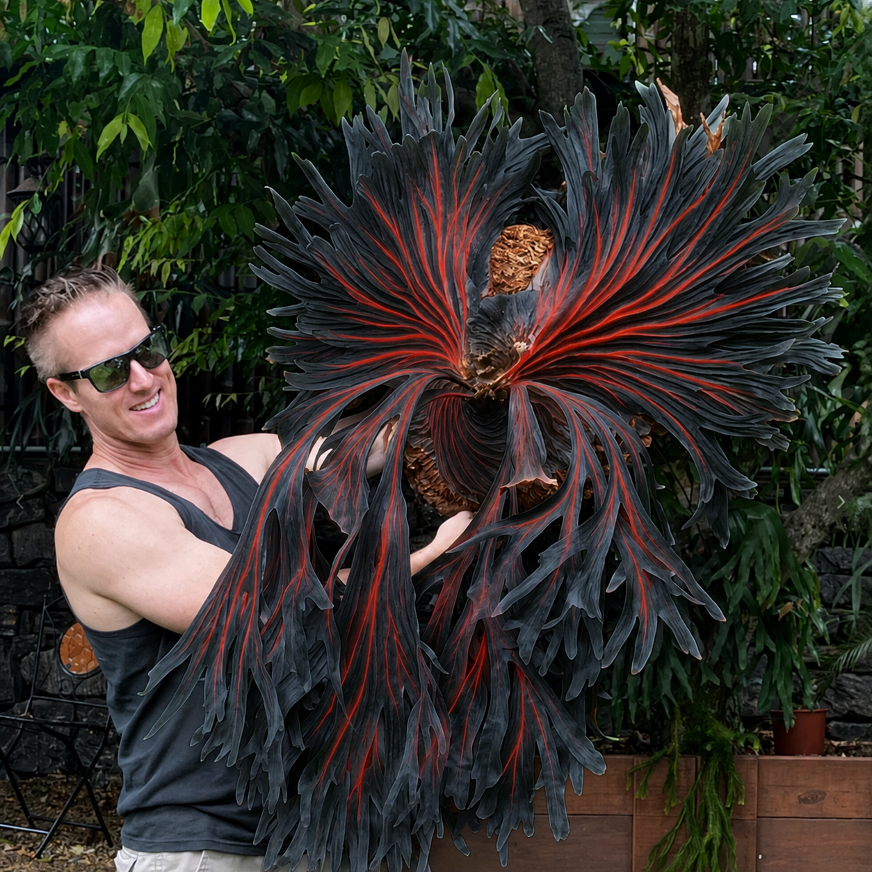 🦌 Rare Rainbow Staghorn Fern — Living Botanical Wall Sculpture