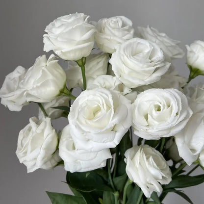 🔥Best-Selling Premium Lisianthus Seeds — Grow Elegant Blooms That Last Longer