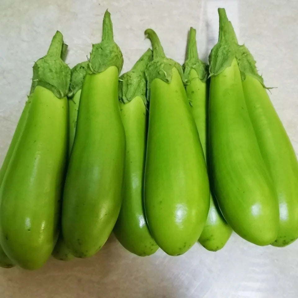 Green Eggplant Seeds