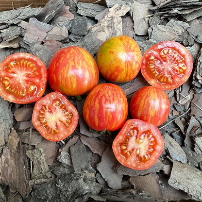 Heirloom Tomato Seeds-Red Zebra