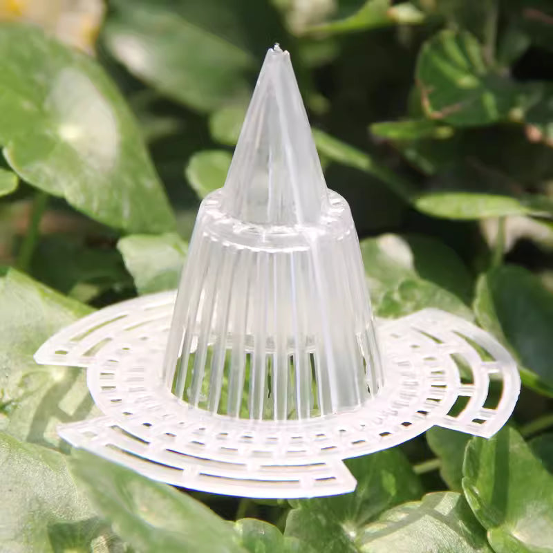 Planter Drainage Device Anti-Rot Root