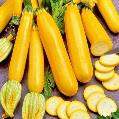 Banana Zucchini Seeds