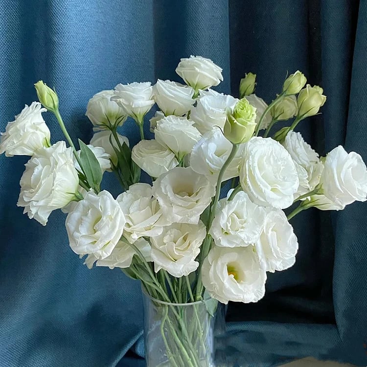 Hardy Perennial Lisianthus Seeds RHS Certified for British Garden Beds Beginner Friendly