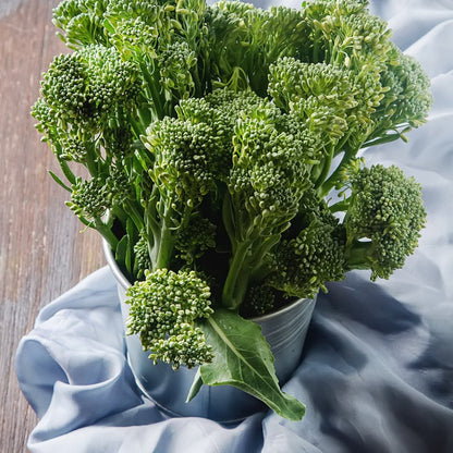 Broccoli Seeds (Organic) - Aspabroc F1