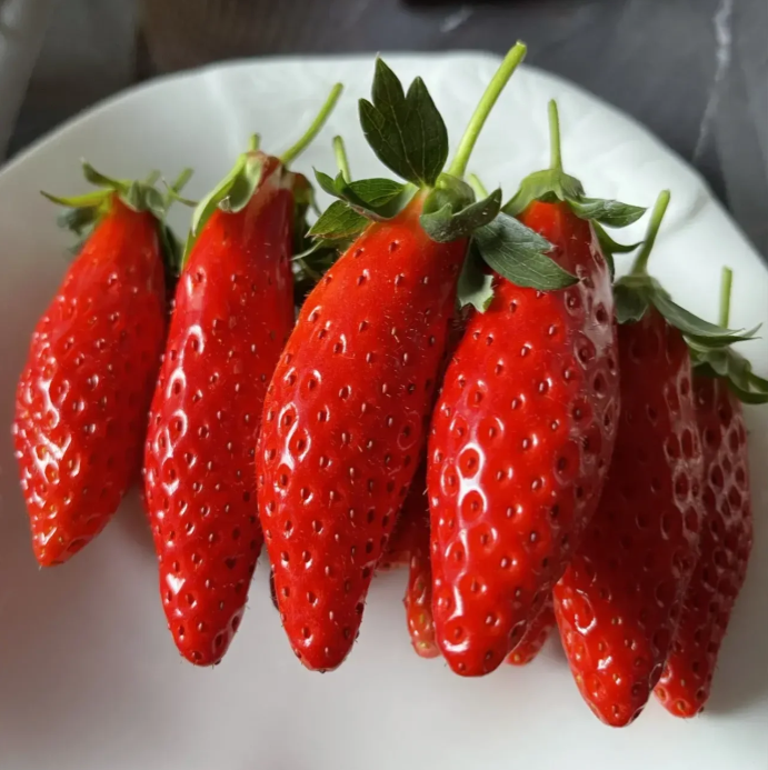 Rare Chili Strawberry Fruit Seeds