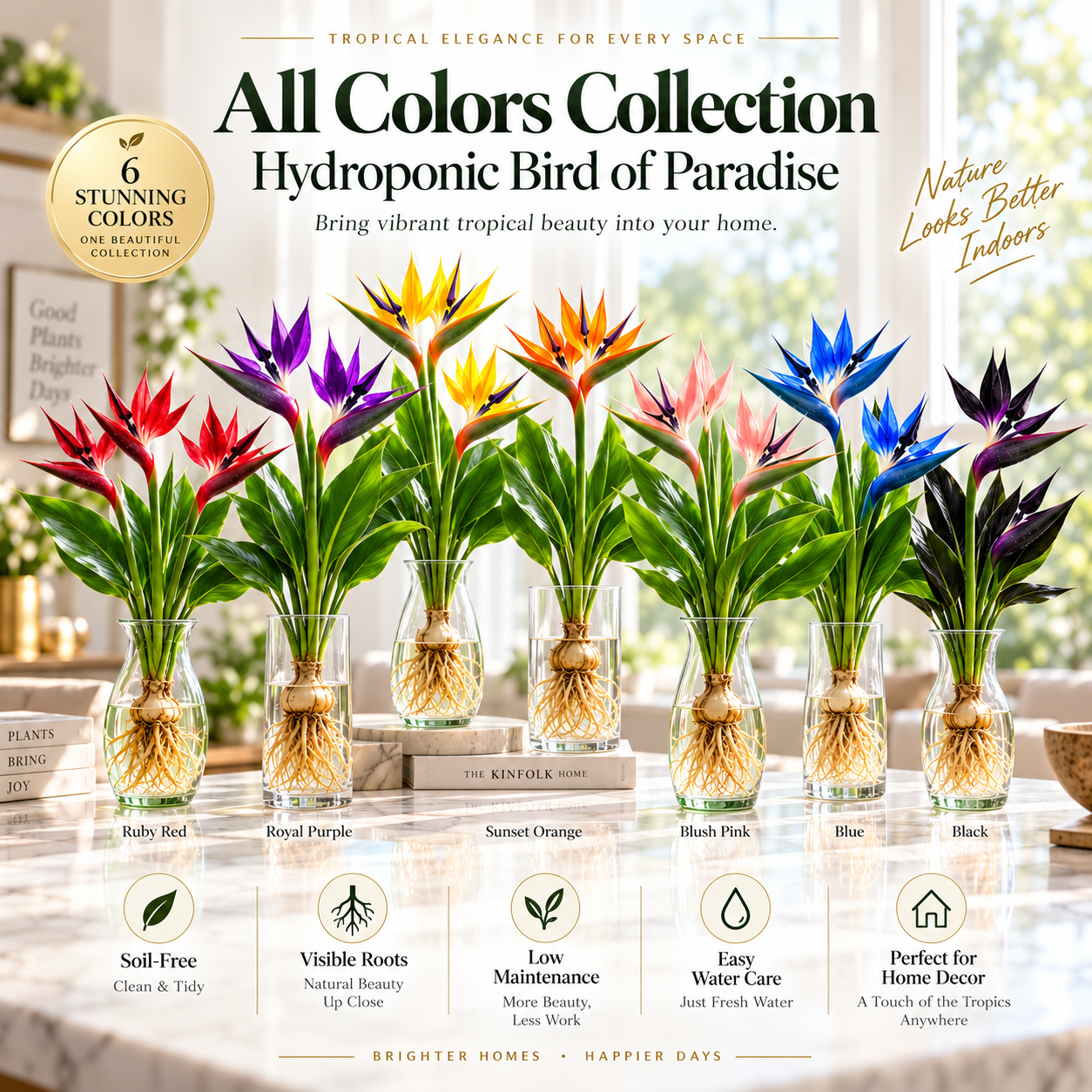 🕊️Hydroponic bird of paradise, from bulb to flowering, is incredibly therapeutic.