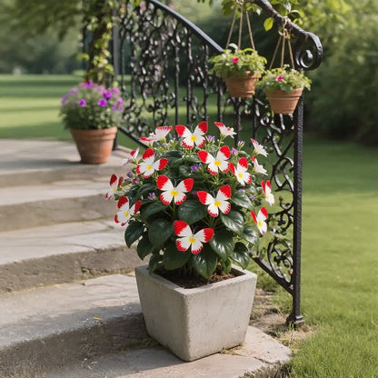 🏆 50K+ SOLD! 🦋🌹 Moonlight Butterfly Flower Seeds – Fall & Winter Planting, Perennial Blooms & Stunning Garden Elegance 🍂