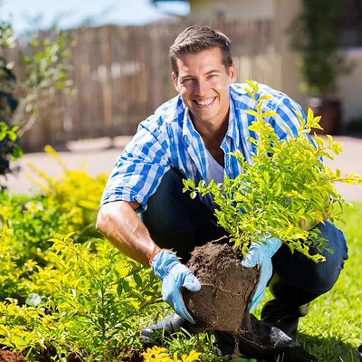 Soil Activator: Plants' Best Friend - Rejuvenate Your Plants