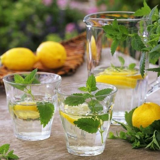 Lemon Balm Seeds
