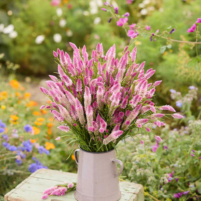 Everything You Can Direct Sow Outside in June
