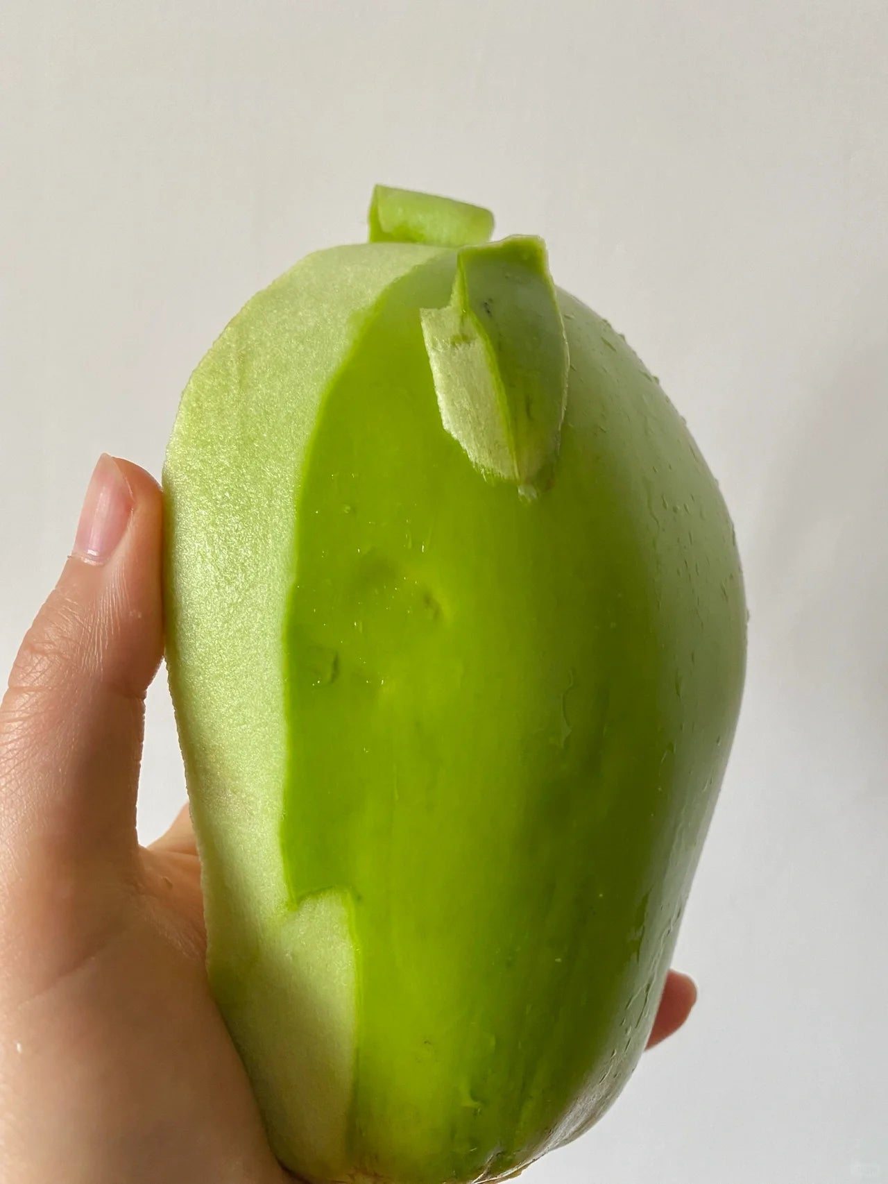 Green Eggplant Seeds
