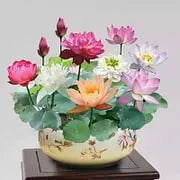 💧 The Sacred Bonsai Bowl Lotus Flower