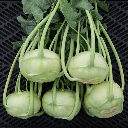 Kohlrabi Seeds