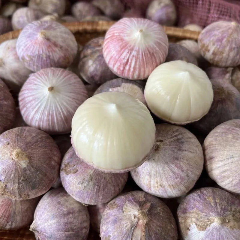 Solo Garlic: Healthy Onion without GMO Ingredients