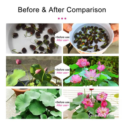 Bowl Lotus Nutrient Solution -Universal Water Soluble Fertilizer
