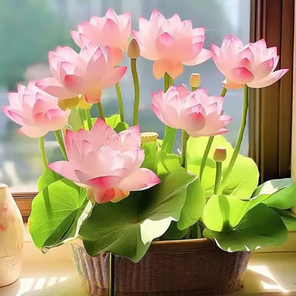 💧 The Sacred Bonsai Bowl Lotus Flower