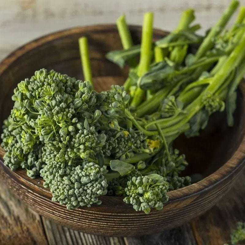 🥦Rare Broccolini Seeds