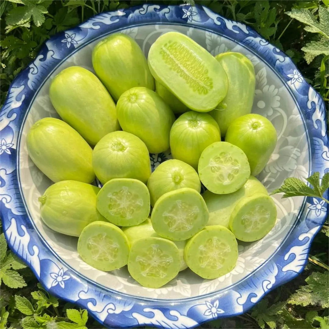 🥒Jade Maiden Cucumber - Sweet, Crispy and Refreshing