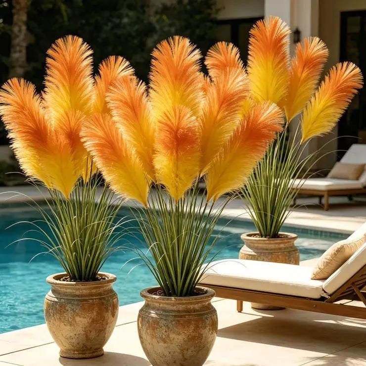 🪶Vibrant Mixed‑Color Ornamental Pampas Grass Seeds | Elegant Tall Feathery Garden Grass