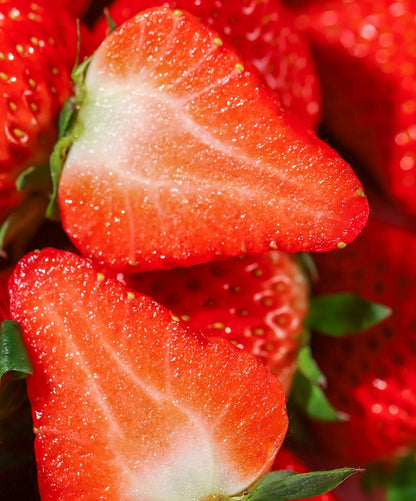 Strawberry Cream Seeds