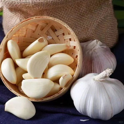 Solo Garlic: Healthy Onion without GMO Ingredients