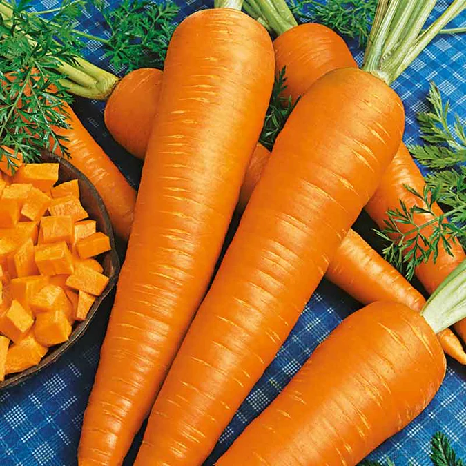 Fruit Carrot Seeds