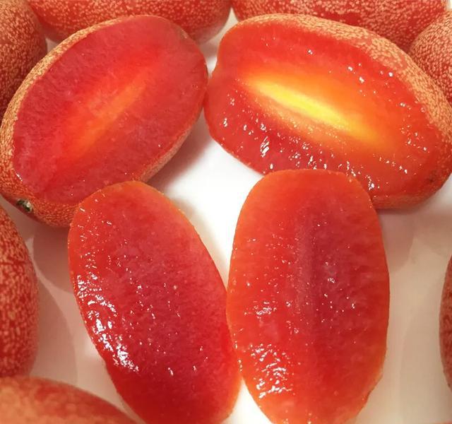 Elaeagnus Conferta Seeds