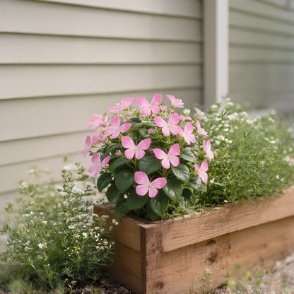 🏆 50K+ SOLD! 🦋🌹 Moonlight Butterfly Flower Seeds – Fall & Winter Planting, Perennial Blooms & Stunning Garden Elegance 🍂