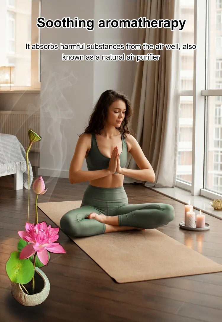 🌸LAST DAY Promotion 35% OFF🌸 Hydroponic Lotus 🌸 | Fresh, Simple & Beautiful(🌱Survival Guaranteed: Free Replacements🌿)