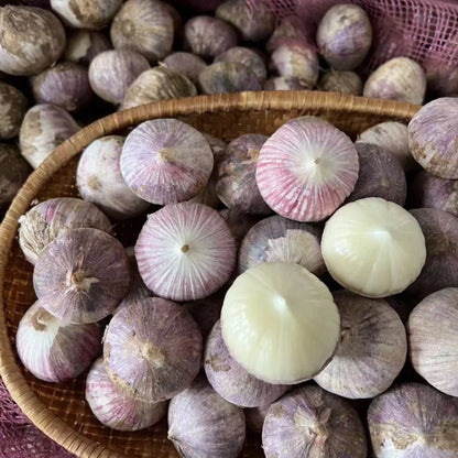 Solo Garlic: Healthy Onion without GMO Ingredients
